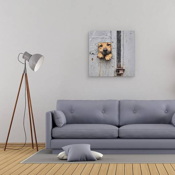 Tablou Canvas - Fereastra Lui Benji, Marime: 60 x 60 cm - 2- Roveli