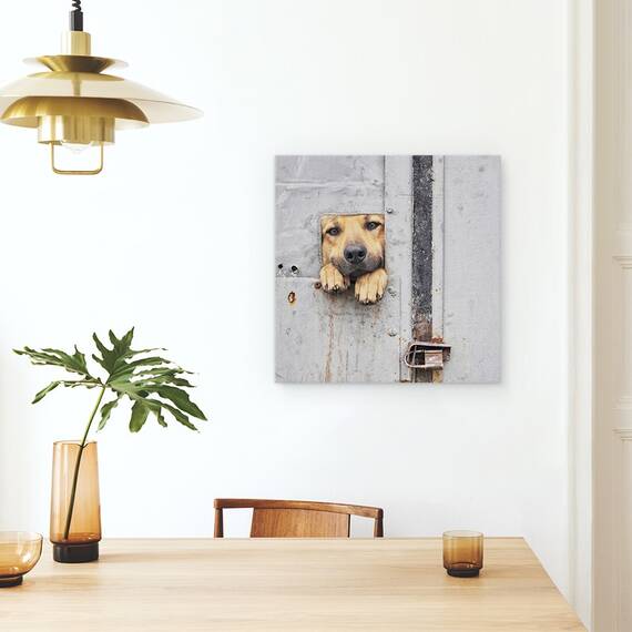 Tablou Canvas - Fereastra Lui Benji, Marime: 60 x 60 cm - 4- Roveli
