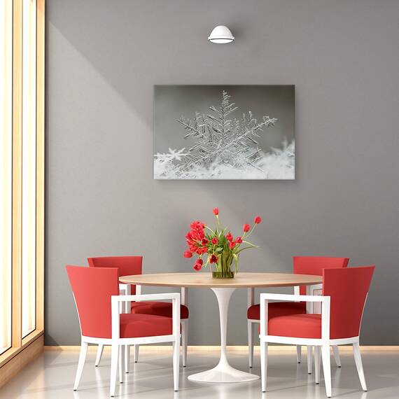 Tablou Canvas - Fulg De Nea, Marime: 40 x 60 cm - 4- Roveli