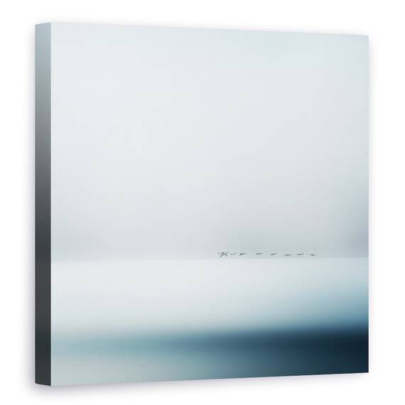 Tablou Canvas - Gaste Salbatice, Marime: 60 x 60 cm - - Roveli
