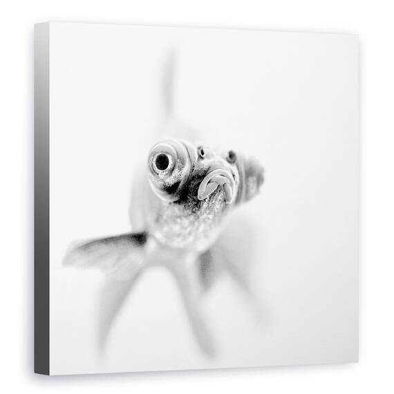 Tablou Canvas - Gata Pentru Apropiere, Marime: 60 x 60 cm - - Roveli