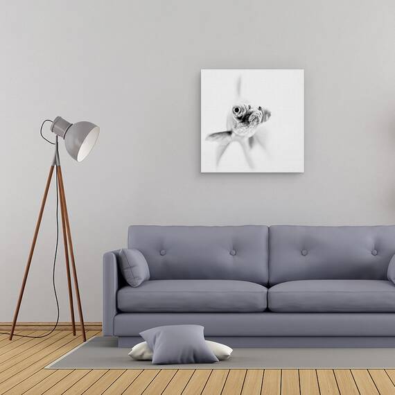 Tablou Canvas - Gata Pentru Apropiere, Marime: 60 x 60 cm - 2- Roveli