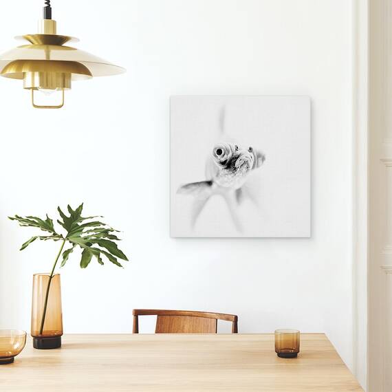 Tablou Canvas - Gata Pentru Apropiere, Marime: 60 x 60 cm - 4- Roveli