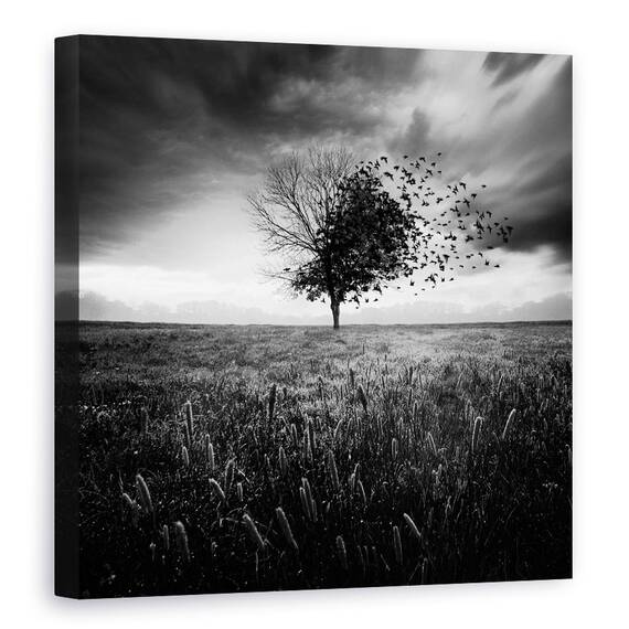 Tablou Canvas - Iluzia Unei Primaveri Pierdute, Marime: 60 x 60 cm - - Roveli