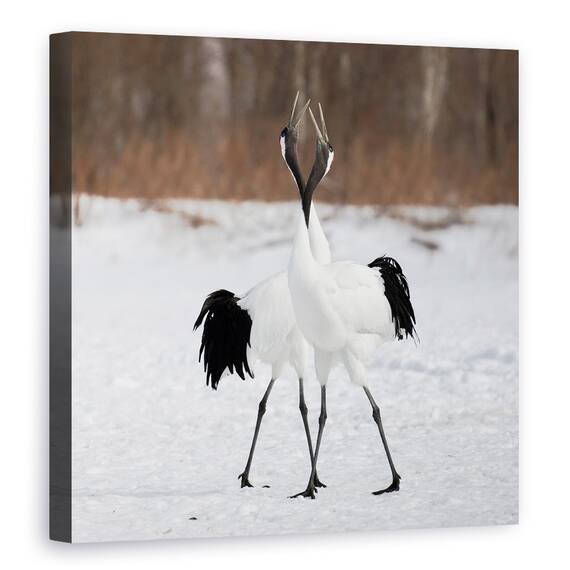Tablou Canvas - In Dragoste, Marime: 60 x 60 cm - - Roveli