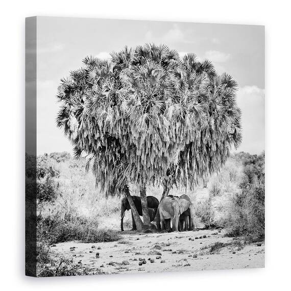 Tablou Canvas - Intalnire La Pranz, Marime: 60 x 60 cm - - Roveli