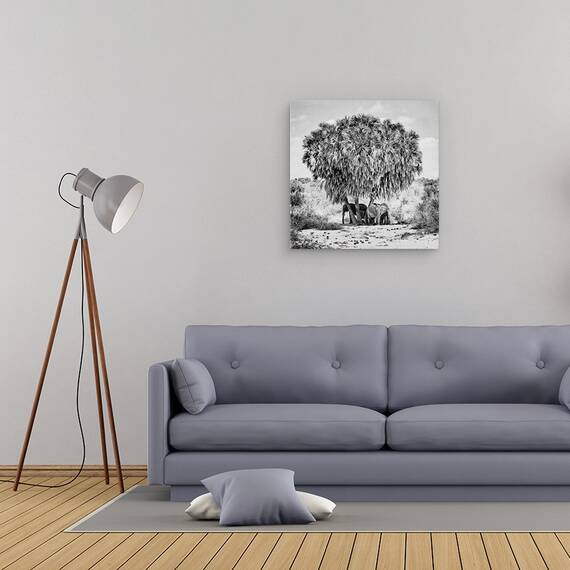 Tablou Canvas - Intalnire La Pranz, Marime: 60 x 60 cm - 2- Roveli