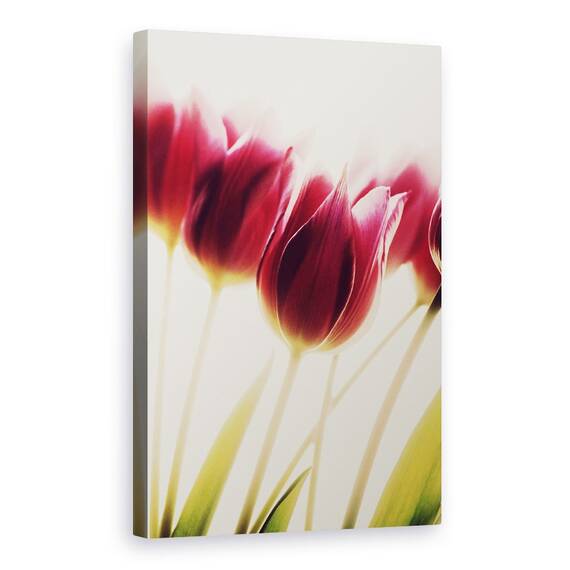 Tablou Canvas - Lalele, Marime: 40 x 60 cm - - Roveli