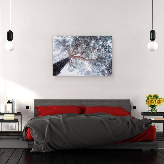 Tablou Canvas - Liniile Copacilor In Iarna, Marime: 40 x 60 cm - 3- Roveli