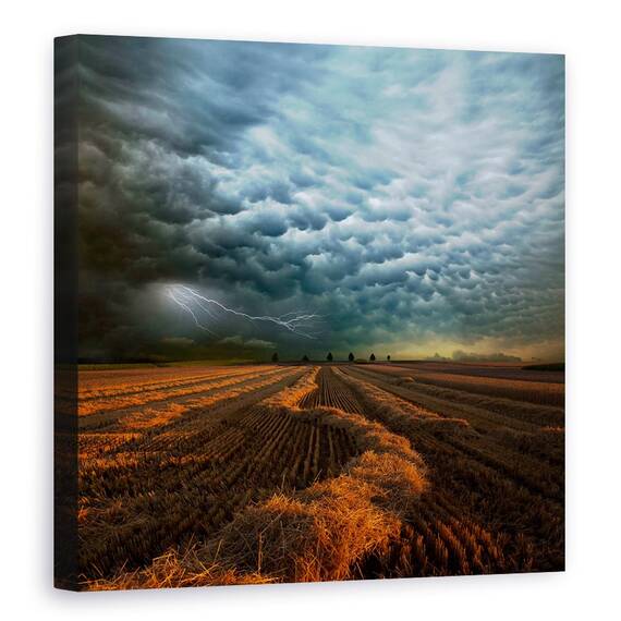 Tablou Canvas - Mammatus, Marime: 60 x 60 cm - - Roveli
