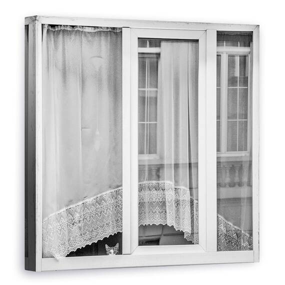 Tablou Canvas - Pisoiul Din Fereastra, Marime: 60 x 60 cm - - Roveli
