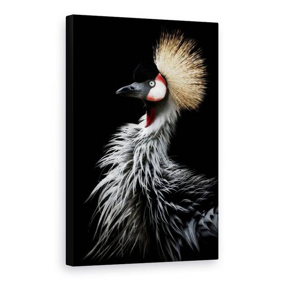 Tablou Canvas - Portretul Macaralei Incoronate, Marime: 40 x 60 cm - - Roveli
