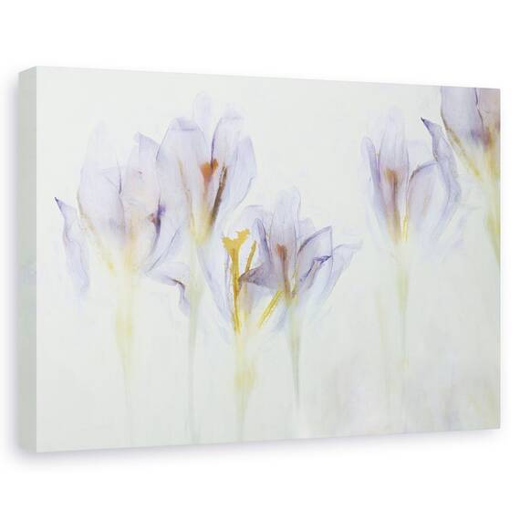 Tablou Canvas - Primavara, Marime: 40 x 60 cm - - Roveli