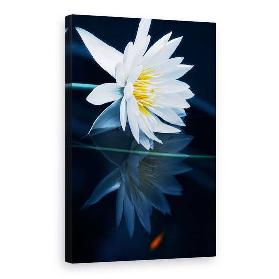 Tablou Canvas - Reflectie, Marime: 40 x 60 cm - - Roveli
