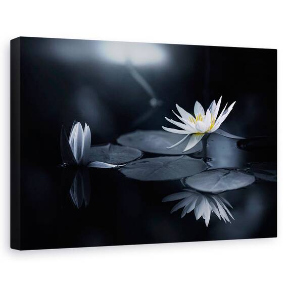 Tablou Canvas - Reflectie, Marime: 40 x 60 cm - - Roveli