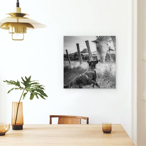 Tablou Canvas - Sarutul Prietenului, Marime: 60 x 60 cm - 4- Roveli
