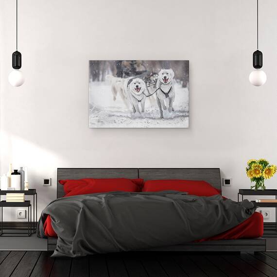 Tablou Canvas - Sporturi De Iarna, Marime: 40 x 60 cm - 3- Roveli