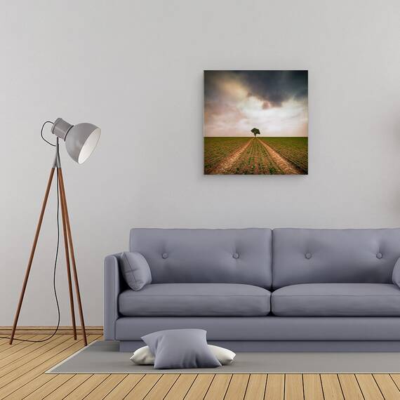 Tablou Canvas - Un Copac, Marime: 60 x 60 cm - 2- Roveli