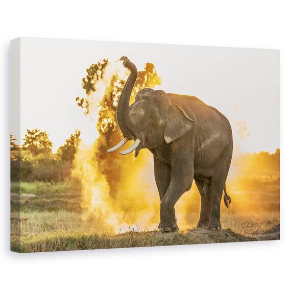 Tablou Canvas - Zi Fierbinte, Marime: 40 x 60 cm - - Roveli