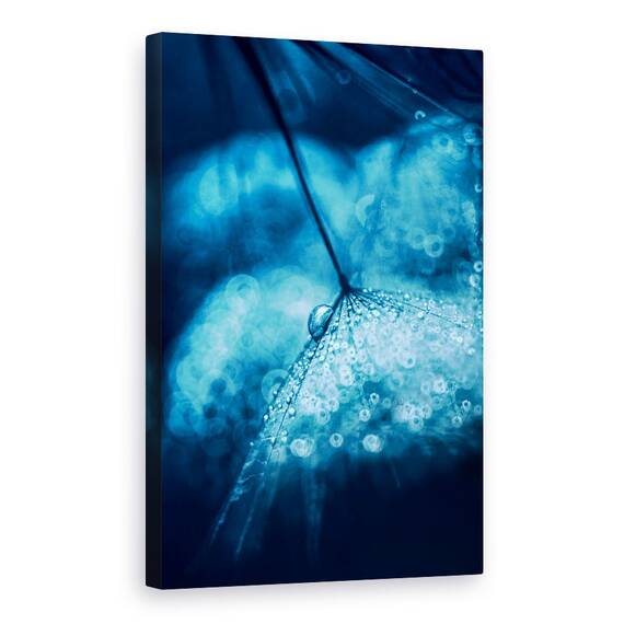 Tablou Canvas - Albastru, Marime: 40 x 60 cm - - Roveli