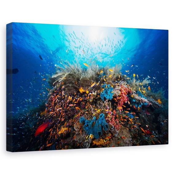 Tablou Canvas - Apnee, Marime: 40 x 60 cm - - Roveli