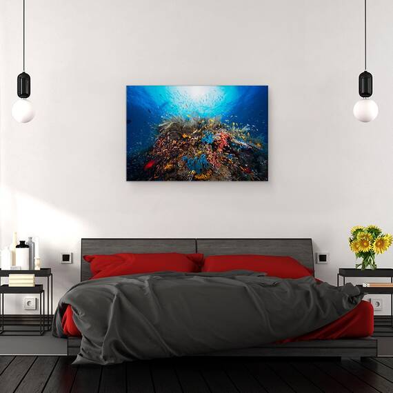 Tablou Canvas - Apnee, Marime: 40 x 60 cm - 3- Roveli