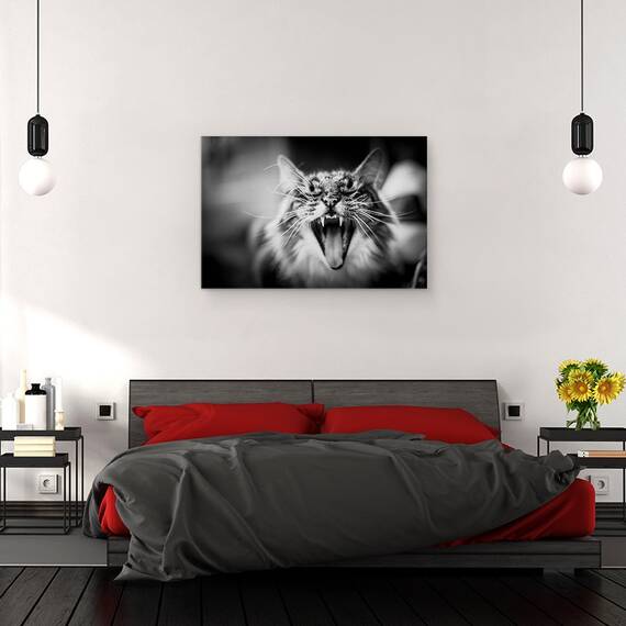 Tablou Canvas - Asculta Miorlaitul Meu, Marime: 40 x 60 cm - 3- Roveli