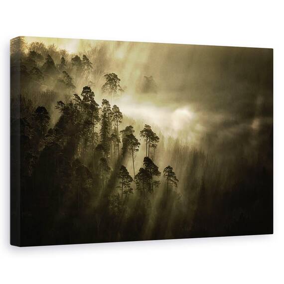 Tablou Canvas - Streiflichter, Marime: 40 x 60 cm - - Roveli