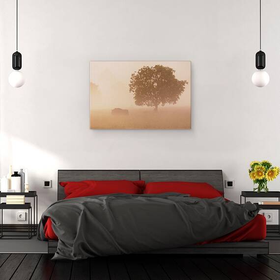 Tablou Canvas - Bizon European, Marime: 40 x 60 cm - 3- Roveli