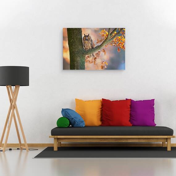 Tablou Canvas - Bufnita Cu Urechi Lungi, Marime: 40 x 60 cm - 2- Roveli