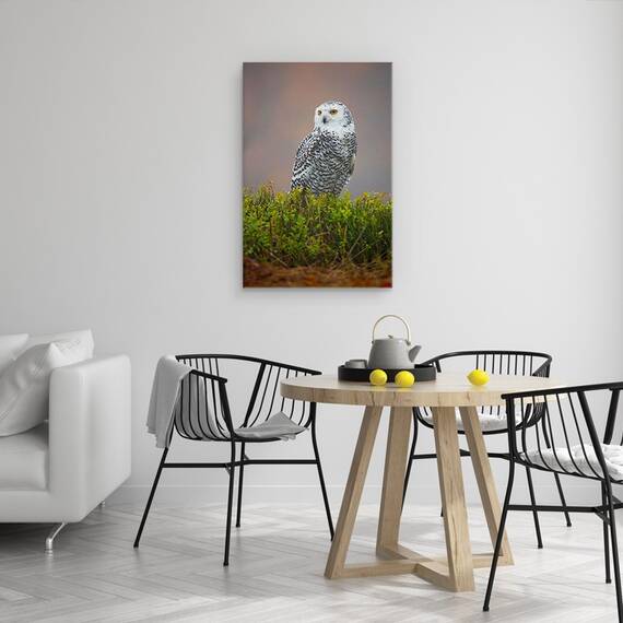 Tablou Canvas - Bufnita De Zapada, Marime: 40 x 60 cm - 4- Roveli