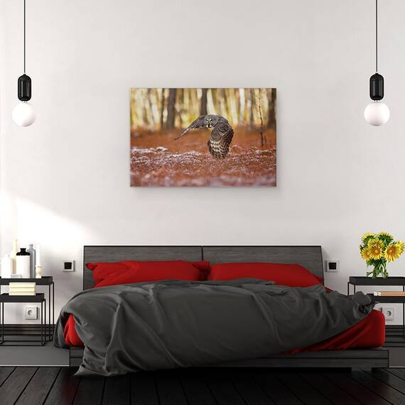 Tablou Canvas - Bufnita Gri, Marime: 40 x 60 cm - 3- Roveli