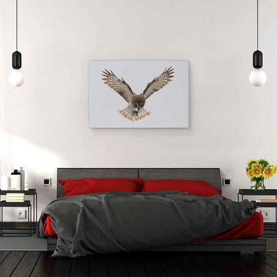 Tablou Canvas - Bufnita Gri, Marime: 40 x 60 cm - 3- Roveli