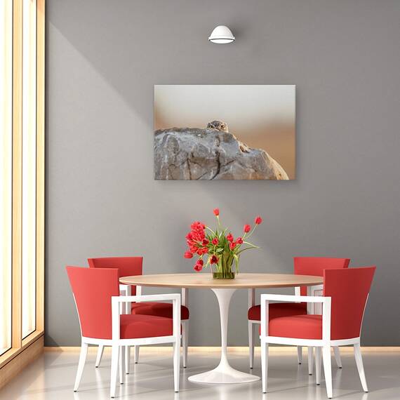 Tablou Canvas - Bufnita Mica, Marime: 40 x 60 cm - 4- Roveli