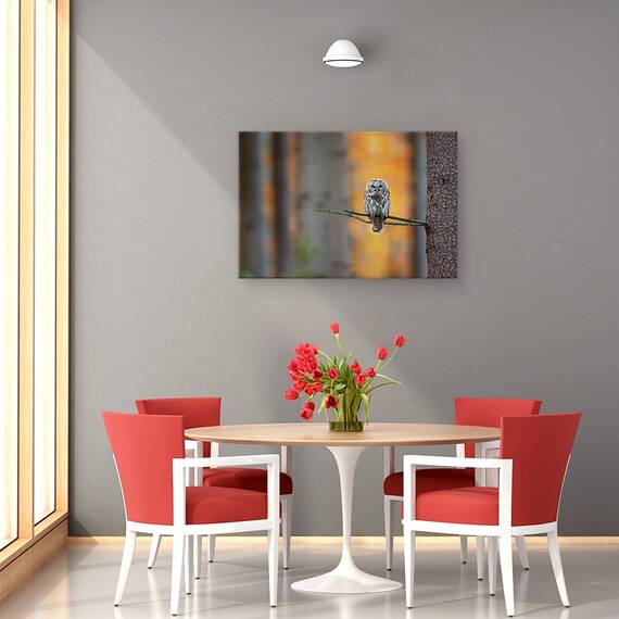 Tablou Canvas - Bufnita Tawny, Marime: 40 x 60 cm - 4- Roveli