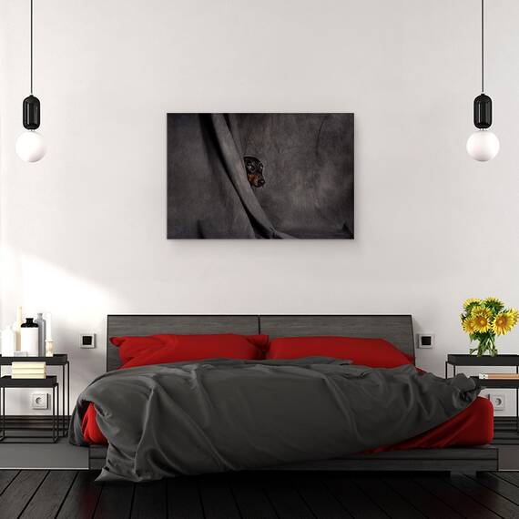 Tablou Canvas - Ca Un Hot In Noapte, Marime: 40 x 60 cm - 3- Roveli