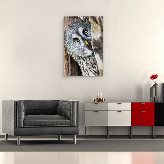 Tablou Canvas - Cine E Acolo?, Marime: 40 x 60 cm - 2- Roveli