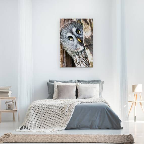 Tablou Canvas - Cine E Acolo?, Marime: 40 x 60 cm - 3- Roveli
