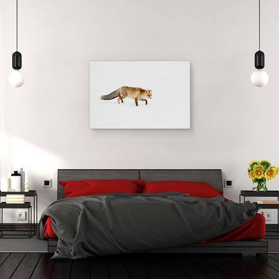 Tablou Canvas - Foxy, Marime: 40 x 60 cm - 3- Roveli