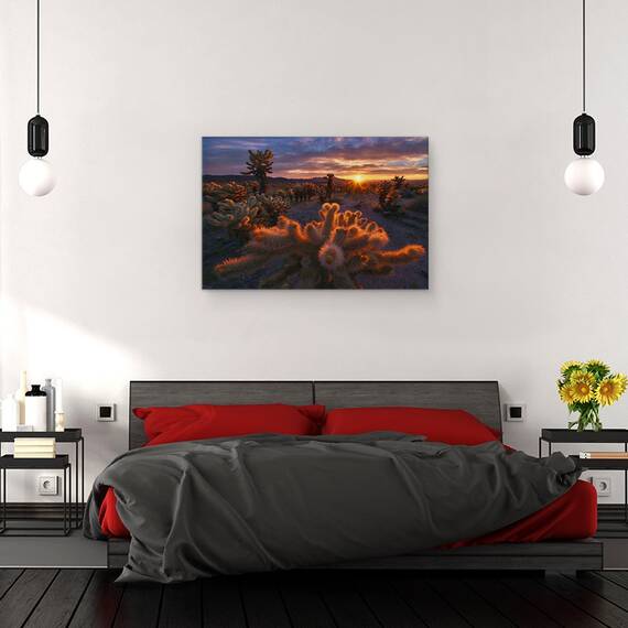 Tablou Canvas - Gradina Cholla, Marime: 40 x 60 cm - 3- Roveli