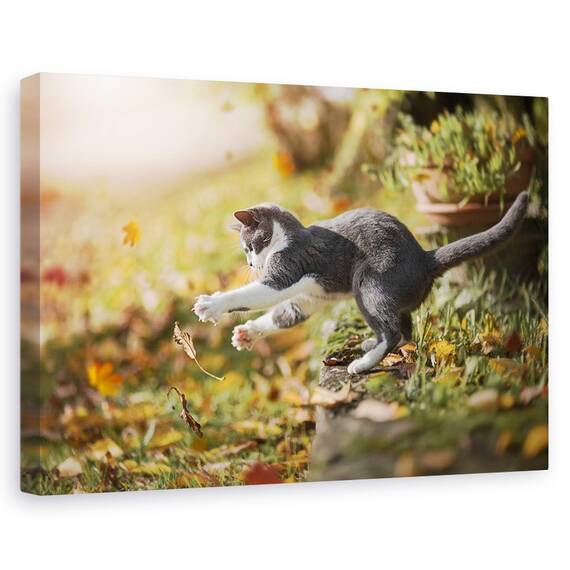 Tablou Canvas - Joc De Toamna, Marime: 40 x 60 cm - - Roveli