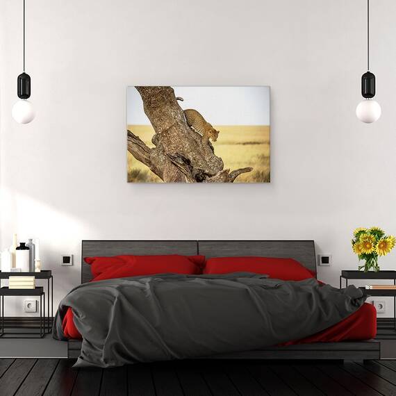 Tablou Canvas - Leopard - Serengheti, Tanzania, Marime: 40 x 60 cm - 3- Roveli