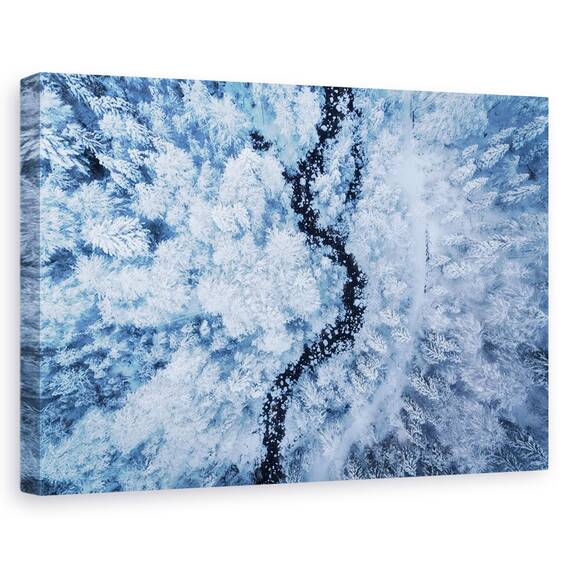 Tablou Canvas - O Frumusete Rece, Marime: 40 x 60 cm - - Roveli