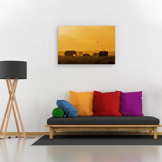 Tablou Canvas - Pace, Marime: 40 x 60 cm - 2- Roveli