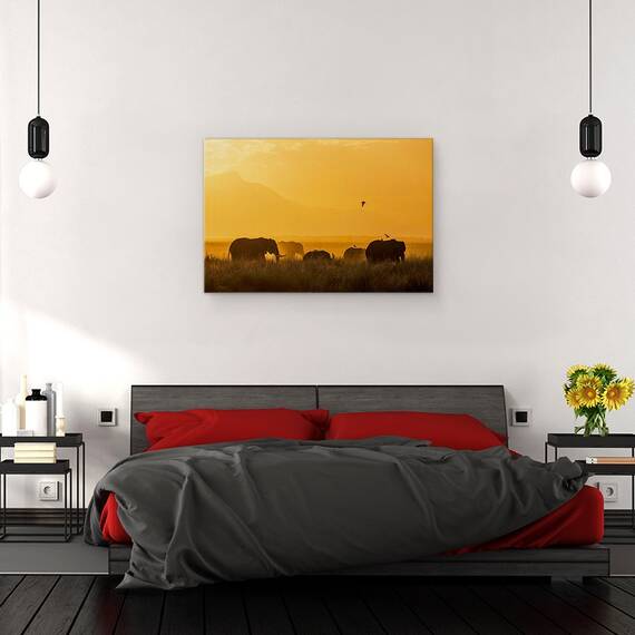 Tablou Canvas - Pace, Marime: 40 x 60 cm - 3- Roveli