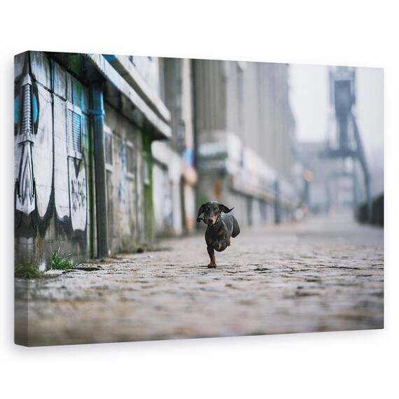 Tablou Canvas - Partea Intunecata A Hamburgului, Marime: 40 x 60 cm - - Roveli