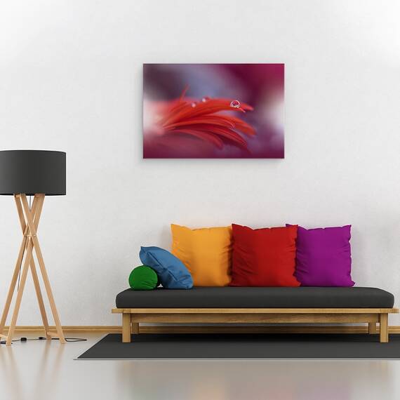 Tablou Canvas - Pasiunea Rosie, Marime: 40 x 60 cm - 2- Roveli