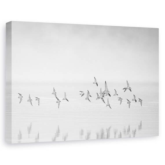 Tablou Canvas - Prin Goliciune, Marime: 40 x 60 cm - - Roveli