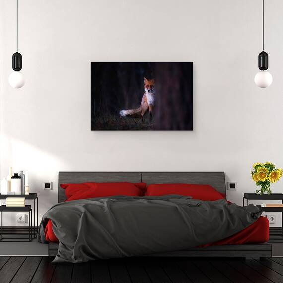 Tablou Canvas - Priviri, Marime: 40 x 60 cm - 3- Roveli