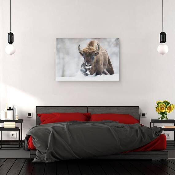 Tablou Canvas - Rewilded, Marime: 40 x 60 cm - 3- Roveli
